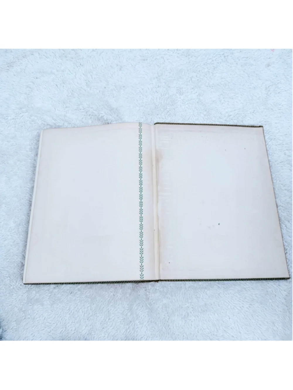Leaves of Grass Walt Whitman 1940 Illustrated Doubleday Doran Vintage Hardcover